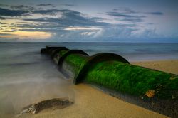 Seaweed on an Outlet. Photo taken in Waialua, HI. by Mathew Cook 
